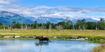 Campgrounds near me, allstays