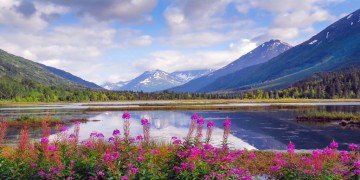Campgrounds near me, allstays