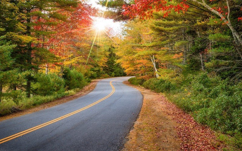 Best Place to See Fall Foliage in Your RV