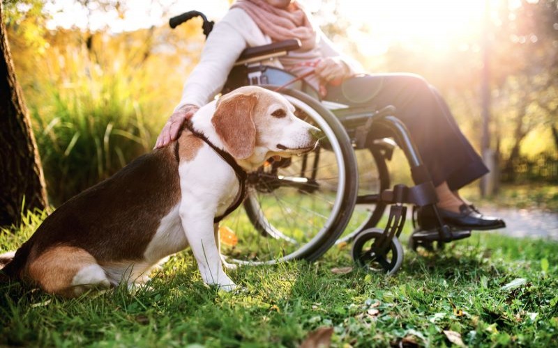 Making Your RV Handicap Accessible for You and Your Pets