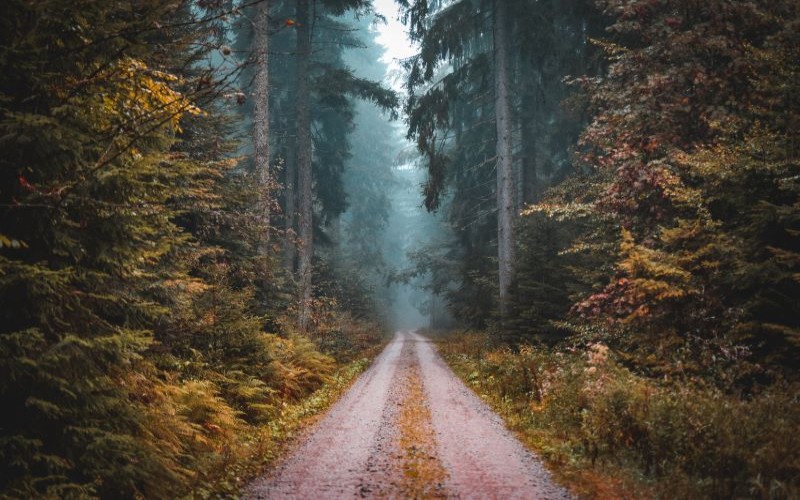 Tips to Protect the Environment While Overlanding