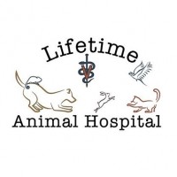 Lifetime Small Animal Hospital Logo