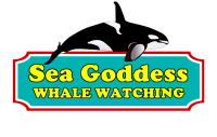 Sea Goddess Whale Watch, dba CSEA Miarenter LLC Logo