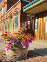Union County Museum Logo