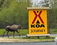 Seward KOA Logo