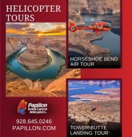 Papillon Helicopters Logo
