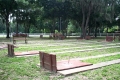 1517347059.jpg