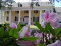 1510328800.jpg