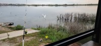 17061075322.jpeg