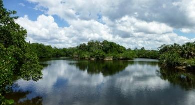 A Tranquil Escape: Lovers Key State Park [Florida]