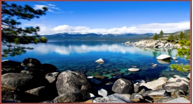 Preservation Of The Fittest: Lake Tahoe State Park [Nevada]