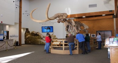 Gentle Giants Roamed The Black Hills: Mammoth Site [South Dakota]