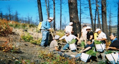 Rising From The Ashes: Sugarite Canyon State Park [New Mexico]