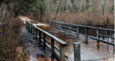 Campgrounds near me, allstays