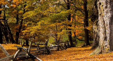 Campgrounds near me, allstays
