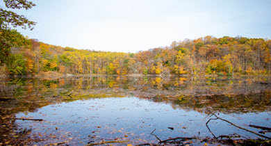 Campgrounds near me, allstays