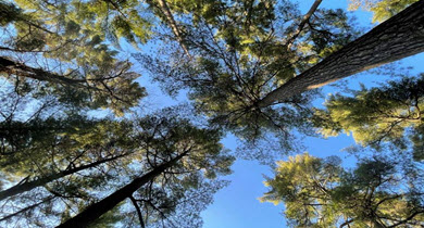 Campgrounds near me, allstays