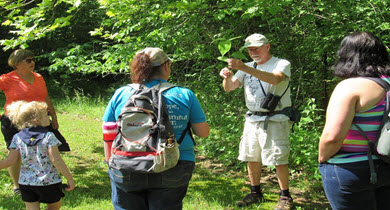 Campgrounds near me, allstays
