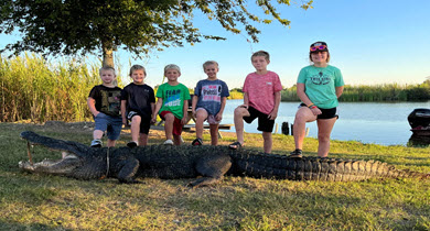 Campgrounds near me, allstays