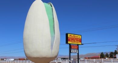 The Big Nut: McGinn's Pistachio Tree Ranch [New Mexico]