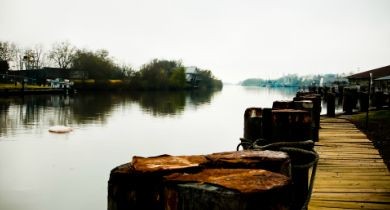 Bringing Louisiana Back to Life: Bayou T.E.C.H.E.