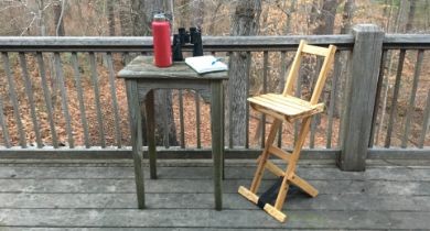 Quality And Comfort Outdoors : The Looking Glass Perch