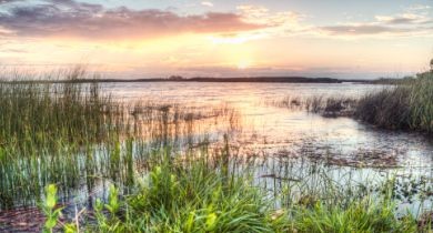 The Secret State Park: False Cape [Virginia]